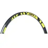 Gtr Jante Sl35 29´´ Plus Mtb