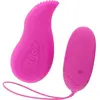 Amoressa Moressa Edgar Premium - Vibrator - voor Clitoris of Vagina - 12 Vibraties - Afstandsbediening - USB Herlaadbaar - Roze