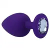 INTENSE ANAL TOYS | Intense Shelki L Plug Anal Purple