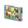 Dino 3 Puzzles - Famille 33544