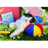 Dino Pièces XXL - La Sieste du Chaton 34354