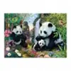 Dino Toys Puzzel met geheimen: Panda 1000 stukjes