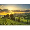Dino Puzzle XL - Vignoble Maremma 51414