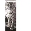 Dino Tigre 54543