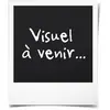 Tondeuse sans fil - FIELDMANN - 20V - Coupe 33 cm - Hauteur max 65 mm ...