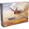 Eduard Kittyhawk Dual Combo