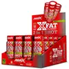 Amix Brûleur De Graisse X-fat 2-in-1 60ml 20 Unités
