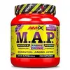 Amix Poudres D´acides Aminés Map Amink Baies 344g