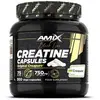 Amix Gélules De Créatine 300 Gélules Creapure®