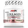 Amix Collagène Viscofan® 300g Piña Colada