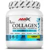 Amix Collagène Marine Peptan® 300g Citron