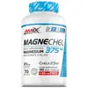 Amix Magnésium Magnechel® Chelate 210 Unités