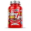 Amix Masse Musculaire Tribulyn Max 90% 100 Unités