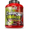 Amix Boisson De Poudre De Glucides Carbojet Mass Professional Baies Sauvages 3kg