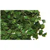 Plus Model feuilles de bouleau vertes