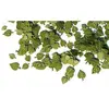Grüne Lindenblätter - 1:35e - Plus Model