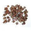Plus Model Feuilles de châtaignier