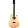 Furch Green Dc-TR a Dreadnought elektrisch-akoestische westerngitaar m...