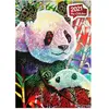 Perre / Anatolian Rainbow Panda Anatolian-1099