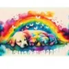 Yazz Chiots 3883