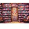 Puzzle 1000 pièces : Bibliothèque romantique