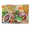 Magnolia Bicycle with Flowers 3502