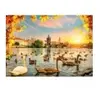Magnolia Swans near Charles Bridge 3504
