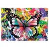 Magnolia Colorful Butterfly 2336