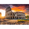 Magnolia Rome 2333