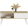 MENZZO Table basse style scandinave Samar 58x43,3cm Bois Blanc et Chêne clair