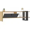 MENZZO Meuble TV 1 porte kaine 120cm Bois clair et Anthracite