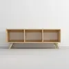 Homitis, Meuble TV, Ayden (120 x 29 x 48 cm)