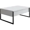 MENZZO Table basse Sibylle 60x90cm Métal Noir et Bois Blanc