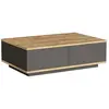 VENTE-UNIQUE Table basse avec 2 portes - Naturel et Anthracite - LOTULA