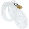 Hidden Desire Chastity Cock Cage Acrylic