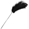 Taboom Feather Tickler