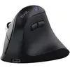 Trust Vyran Ergo Hypscroll (Sans fil), Souris, Noir