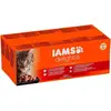 48x85g IAMS Delights Adult Terre & Mer en gelée - Pâtée pour chat