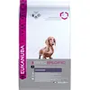 Eukanuba Dachshund/Teckel - Breed Specific - Kip - Hondenvoer - 2.5 kg