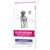 12kg Dermatosis FP Veterinary Diets Eukanuba Croquettes pour chien