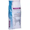 12kg Joint Mobility Eukanuba Veterinary Diet - Croquettes pour chien