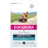 Eukanuba Adult Breed Specific Yorkshire Terrier pour chien - 2 kg