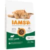 10kg Adult IAMS for Vitality agneau pour chat