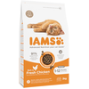 3kg Kitten IAMS for Vitality poulet pour chaton