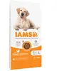 12kg Senior Large poulet Advanced Nutrition IAMS croquettes pour chien