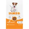 IAMS Advanced Nutrition Senior Small & Medium poulet pour chien - 5 kg