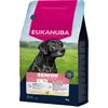 Eukanuba Senior Large Breed Kip - Hondenbrokken - 3 kg