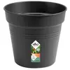 ELHO Pot De Culture Green Basics D.21cm Couleur Living Noir