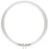 Philips tube fluo master tl5 circulaire c-t5 22 watts cc 830 2gx13 3000k