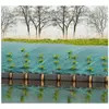 Toile de paillage paysages - NATURE - vert 90 gr/m² - 1x10m